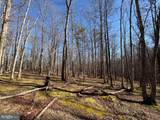 98.43 AC Parker Hollow Road - Photo 35