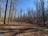 98.43 AC Parker Hollow Road - Photo 38