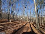 98.43 AC Parker Hollow Road - Photo 39