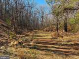 98.43 AC Parker Hollow Road - Photo 6