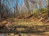 98.43 AC Parker Hollow Road - Photo 7