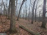 Parcel # 22 Sams Creek Road - Photo 14