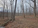 Parcel # 22 Sams Creek Road - Photo 9