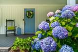 201 Buckingham Road - Photo 7