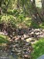  Joey Drive - Photo 2