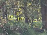  Joey Drive - Photo 8