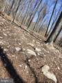 566 Wild Apple Lane - Photo 101