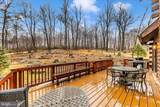 13533 Catoctin Hollow - Photo 64