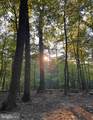 13533 Catoctin Hollow - Photo 71
