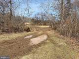 19197 Whites Farm Lane - Photo 12