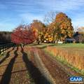 1128 Beaverdam Rd - Photo 10