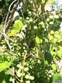 877 Holland Creek Rd - Photo 48