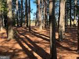 26297 Pitts Creek Road - Photo 18