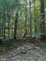  Cat Creek Road - Photo 2