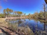 18262 Seals Road - Photo 13