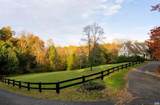 4051 Free Union Rd - Photo 1