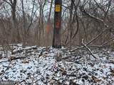  Low Line Road - Photo 9