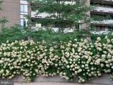 1800 Old Meadow Road - Photo 44