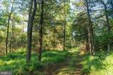 3171 Ritner Highway - Photo 37
