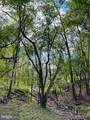 115 Old Furnace Road - Photo 28