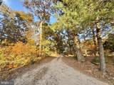 31568 Mount Pleasant Road - Photo 12