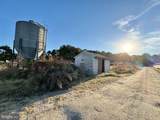 31568 Mount Pleasant Road - Photo 6