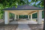 35623 Pine Needle Lane - Photo 58