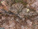 107 Top Of Loop Lane - Photo 14