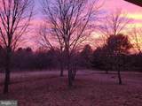 1527 Shenandoah River Lane - Photo 64