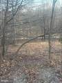  Lost Run - Photo 6