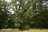  Magnolia Rd - Photo 25
