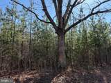 2A Sanders Creek - Photo 2