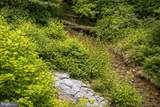  Potomac Street - Photo 2