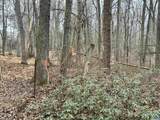 0 Elly Rd - Photo 19