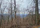TBD Lot 17 & 18 Spring Branch Ln - Photo 1
