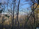 TBD Lot 17 & 18 Spring Branch Ln - Photo 22