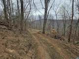TBD Lot 17 & 18 Spring Branch Ln - Photo 23