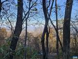TBD Lot 17 & 18 Spring Branch Ln - Photo 28