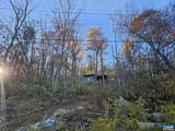 TBD Lot 17 & 18 Spring Branch Ln - Photo 4