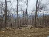 TBD Lot 17 & 18 Spring Branch Ln - Photo 7