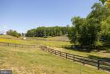 5 Appaloosa Drive - Photo 100