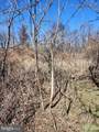  Skyview Dr. - Photo 15