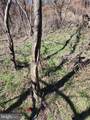  Skyview Dr. - Photo 21