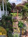 6 Thicket Lane - Photo 62