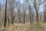  195 KING HENRY CT. - Photo 19