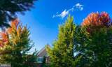 102 Abbott Lane - Photo 80