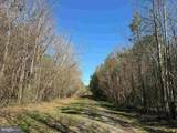  Off Rt. 14 (Tract Tanager Et2-2031) - Photo 14