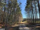  Off Rt. 14 (Tract Tanager Et2-2031) - Photo 16