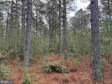  Off Rt. 14 (Tract Tanager Et2-2050) - Photo 9