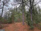  Dogwood Drive (Tract: Tanager Et2-2006) - Photo 11